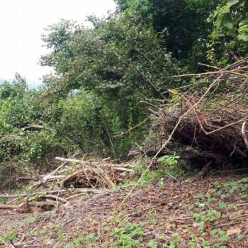 Продается Участок, 600 м²