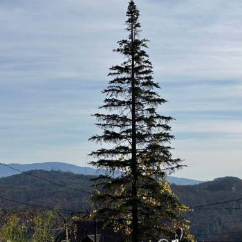 Продается Участок, 750 м²