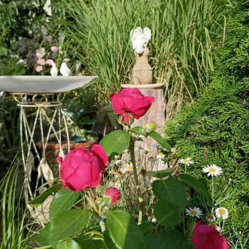 Сдается Комната, 20 м²