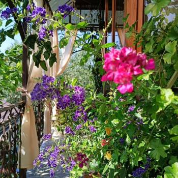 Сдается Комната, 20 м²