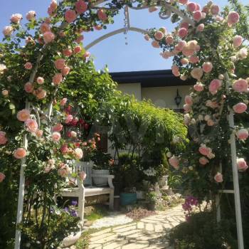 Сдается Комната, 20 м²