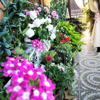 Сдается Комната, 20 м²