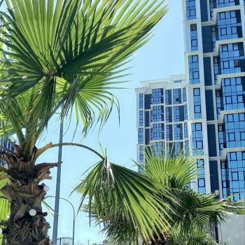 Сдается 1-комнатная квартира, 18,3 м²