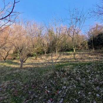 Продается Дом, 230 м²