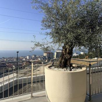 Продается 1-комнатная квартира, 54,1 м²