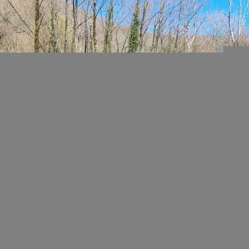 Продается Участок, 500 м²