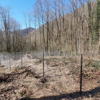 Продается Участок, 500 м²