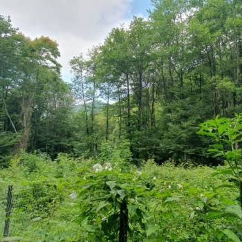 Продается Участок, 500 м²