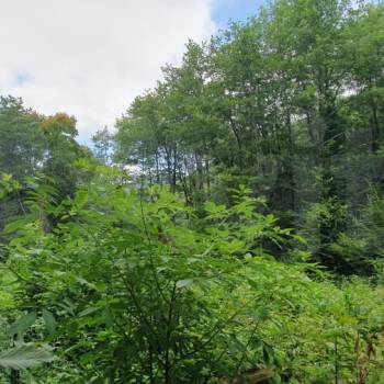 Продается Участок, 500 м²