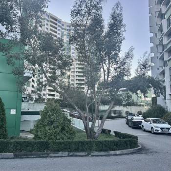 Продается 3-х комнатная квартира, 99,6 м²