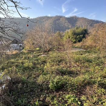 Продается Участок, 650 м²