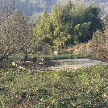 Продается Участок, 650 м²