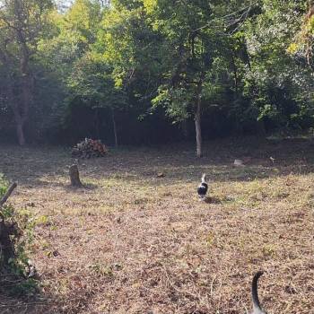 Продается Участок, 550 м²