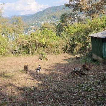 Продается Участок, 550 м²