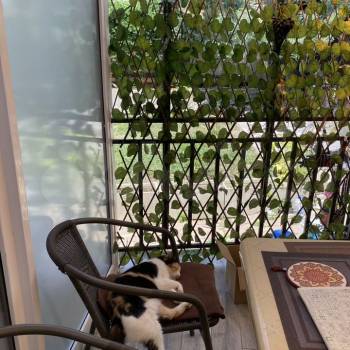 Продается 1-комнатная квартира, 30 м²