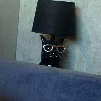 Сдается 1-комнатная квартира, 17 м²