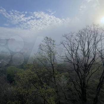 Продается 1-комнатная квартира, 23,9 м²