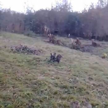 Продается Участок, 500 м²