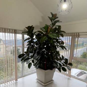 Сдается Дом, 100 м²