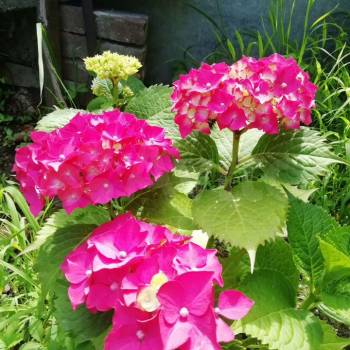 Продается Участок, 680 м²