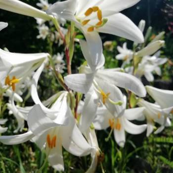 Продается Участок, 680 м²