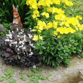 Продается Участок, 680 м²