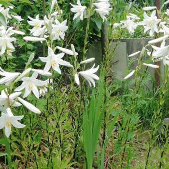 Продается Участок, 680 м²