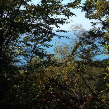 Продается Участок, 680 м²