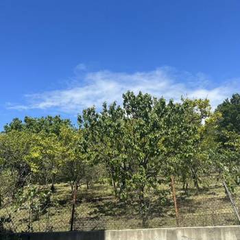 Продается Участок, 500 м²