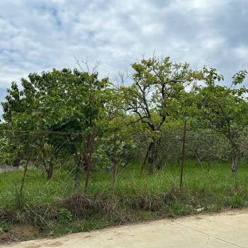 Продается Участок, 500 м²