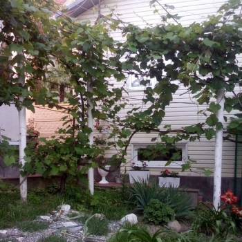 Сдается Дом, 64 м²