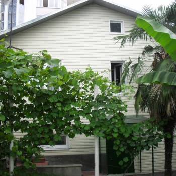 Сдается Дом, 64 м²