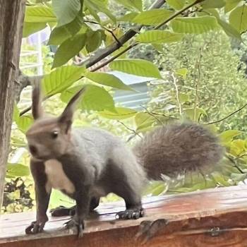 Сдается Дом, 90 м²