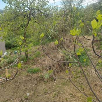 Продается Участок, 380 м²