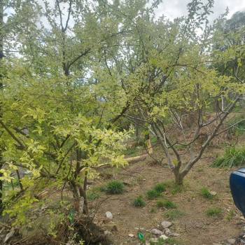 Продается Участок, 380 м²