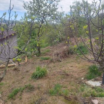 Продается Участок, 380 м²