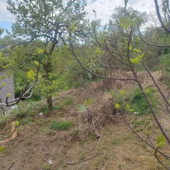 Продается Участок, 380 м²