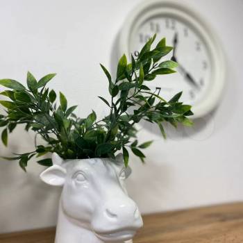 Сдается 1-комнатная квартира, 47 м²