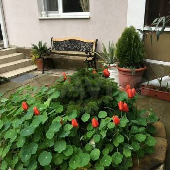 Сдается Комната, 19 м²