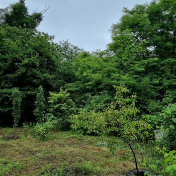 Продается Дом, 130 м²