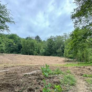 Продается Участок, 6500 м²