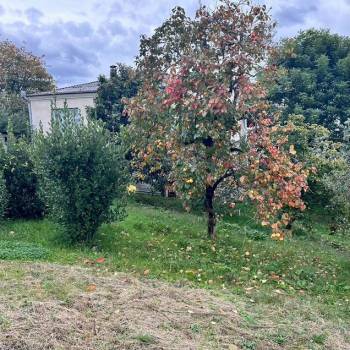 Продается Участок, 650 м²