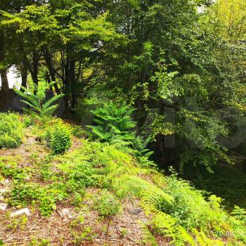 Продается Участок, 600 м²