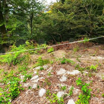 Продается Участок, 600 м²