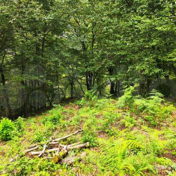 Продается Участок, 600 м²