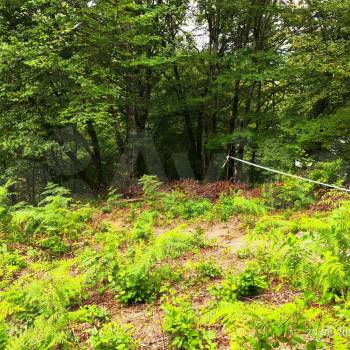 Продается Участок, 600 м²