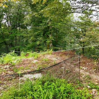 Продается Участок, 600 м²