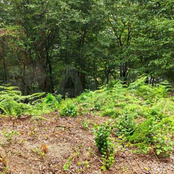 Продается Участок, 600 м²