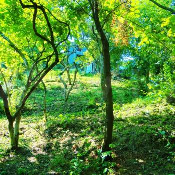 Продается Участок, 730 м²