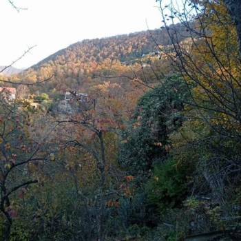 Продается Участок, 730 м²